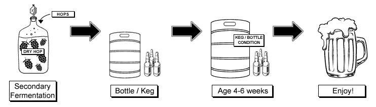 Secondary Fermentation, Bottle, Keg, Age, Enjoy Secondary Fermentation, Bottle, Keg, Age, Enjoy